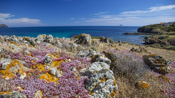 Porto Pino - Sant’Antioco - Capo Sperone